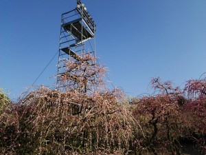DSC_0143.JPG