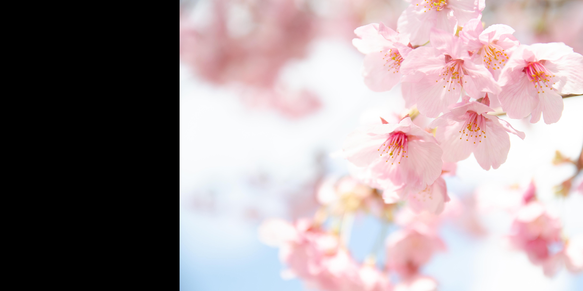 柔軟な対応力で、真摯に、誠実にご要望にお応えします。豊かな緑と景観を支える、株式会社GGS