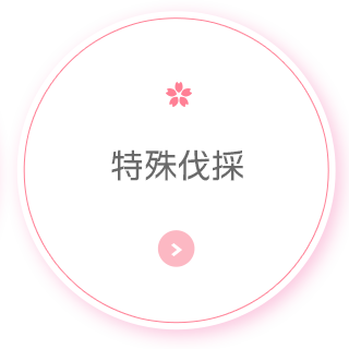 bnrmany_02