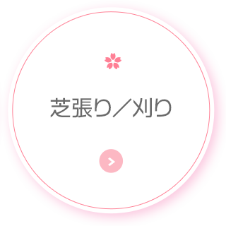bnrmany_04